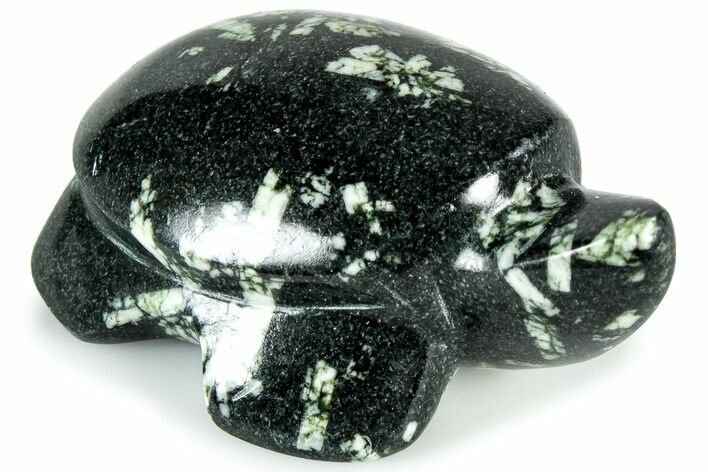 Carved Chinese Writing Rock Turtle - Australia #308497